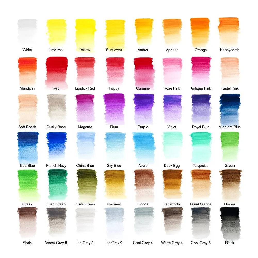 Watercolour Pencil x 48 plus Foundation Brush - Short Handle x 6